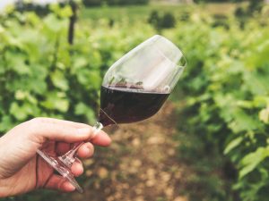 Envelhecimento de Vinhos e Análise Sensorial II imagem de copo com vinho - Formação Profissional Certificada